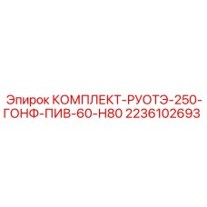 2236102693 КОМПЛЕКТ-РУОТЭ-250-ГОНФ-ПИВ-60-Н80 Epiroc