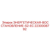 2230008792 ЭНЕРГЕТИЧЕСКАЯ-ВОССТАНОВЛЕНИЕ-S2-EC Epiroc
