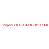9111001181 ОСТАВАТЬСЯ Epiroc