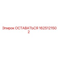 1625121502 ОСТАВАТЬСЯ Epiroc