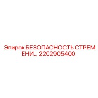 2202905400 БЕЗОПАСНОСТЬ СТРЕМЕНИ Epiroc