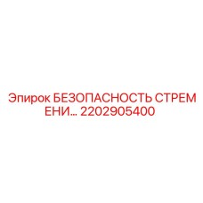 2202905400 БЕЗОПАСНОСТЬ СТРЕМЕНИ Epiroc