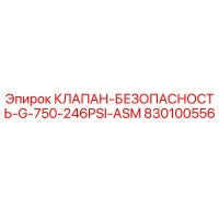 830100556 Клапан безопасности G-750 246PSI ASM Epiroc