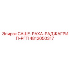 4812050317 САШЕ-РАХА-РАДЖАГРИП-РГП Epiroc