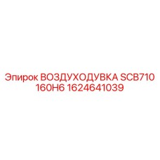 1624641039 ВОЗДУХОДУВКА SCB710 160H6 Epiroc