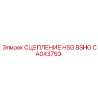 CA043750 СЦЕПЛЕНИЕ HSG BSHG Epiroc