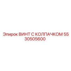 5530505600 ВИНТ С КОЛПАЧКОМ Epiroc