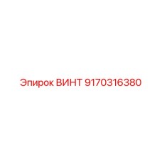 Винт Epiroc 9170316380