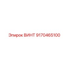9170465100 ВИНТ Epiroc