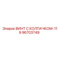 96703749 ВИНТ С КОЛПАЧКОМ-119 Epiroc
