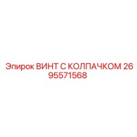 2695571568 ВИНТ С КОЛПАЧКОМ Epiroc