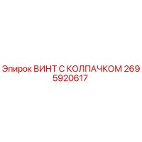 2695920617 ВИНТ С КОЛПАЧКОМ Epiroc