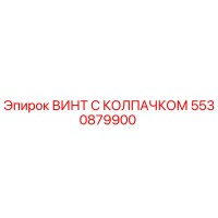 5530879900 ВИНТ С КОЛПАЧКОМ Epiroc