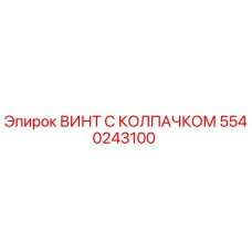 Оригинальный винт с колпачком Epiroc артикул 5540243100