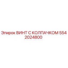 5542024800 ВИНТ С КОЛПАЧКОМ Epiroc