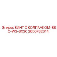 2650782614 ВИНТ С КОЛПАЧКОМ-BSC-W3-8X30 Epiroc