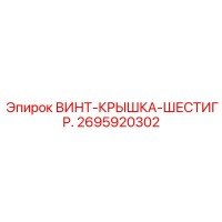 2695920302 ВИНТ-КРЫШКА-ШЕСТИГР. Epiroc