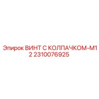 2310076925 ВИНТ С КОЛПАЧКОМ-M12 Epiroc