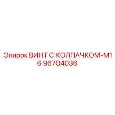 96704036 ВИНТ С КОЛПАЧКОМ-M16 Epiroc
