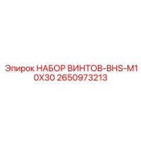 2650973213 НАБОР ВИНТОВ-BHS-M10X30 Epiroc