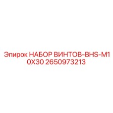 2650973213 НАБОР ВИНТОВ-BHS-M10X30 Epiroc