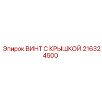 216324500 ВИНТ С КРЫШКОЙ Epiroc