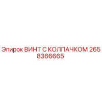 2658366665 ВИНТ С КОЛПАЧКОМ Epiroc