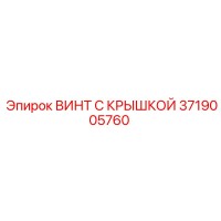 3719005760 ВИНТ С КРЫШКОЙ Epiroc