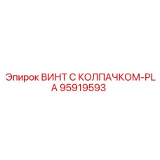 95919593 ВИНТ С КОЛПАЧКОМ-PLA Epiroc