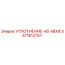 3371813707 УПЛОТНЕНИЕ-40-48Х8 Epiroc