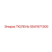 5541971300 ТЮЛЕНЬ Epiroc