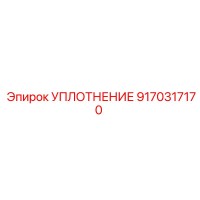 9170317170 УПЛОТНЕНИЕ Epiroc
