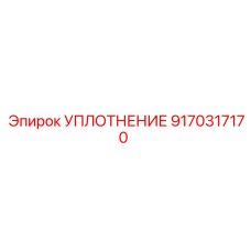9170317170 УПЛОТНЕНИЕ Epiroc
