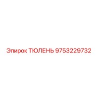 9753229732 ТЮЛЕНЬ Epiroc