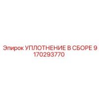 9170293770 УПЛОТНЕНИЕ В СБОРЕ Epiroc