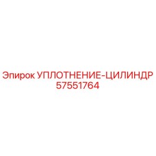 57551764 УПЛОТНЕНИЕ-ЦИЛИНДР Epiroc