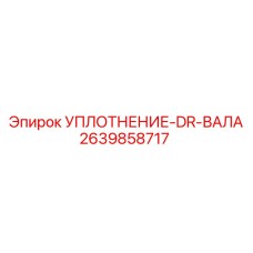 2639858717 УПЛОТНЕНИЕ-DR-ВАЛА Epiroc
