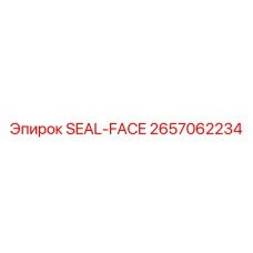 2657062234 SEAL-FACE Epiroc