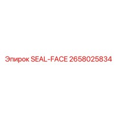 2658025834 SEAL-FACE Epiroc