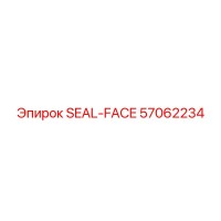 57062234 SEAL-FACE Epiroc