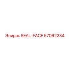 57062234 SEAL-FACE Epiroc