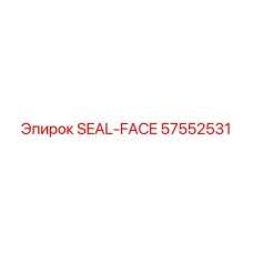 57552531 SEAL-FACE Epiroc