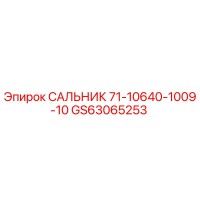 GS63065253 САЛЬНИК 71-10640-1009-10 Epiroc