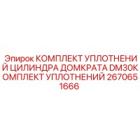 2670651666 КОМПЛЕКТ УПЛОТНЕНИЙ ЦИЛИНДРА ДОМКРАТА DM30 Epiroc