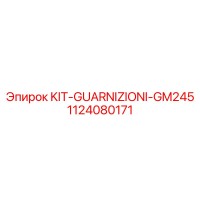 1124080171 KIT-GUARNIZIONI-GM245 Эпирок