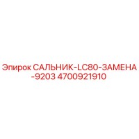 4700921910 САЛЬНИК-LC80-ЗАМЕНА-9203 Epiroc