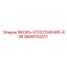 9899702511 ЯКОРЬ-УПЛОТНЕНИЕ-R38 Epiroc