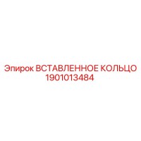 1901013484 ВСТАВЛЕННОЕ КОЛЬЦО Epiroc