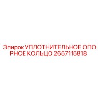 2657115818 УПЛОТНИТЕЛЬНОЕ ОПОРНОЕ КОЛЬЦО Epiroc