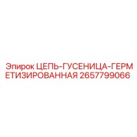 2657799066 ЦЕПЬ-ГУСЕНИЦА-ГЕРМЕТИЗИРОВАННАЯ Epiroc
